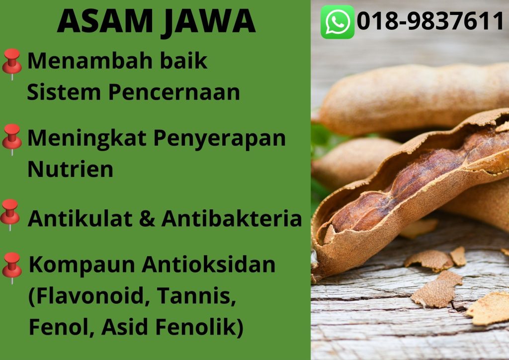 RAMUAN AFYAA ARATOX - ASAM JAWA - TEL 018-9837611